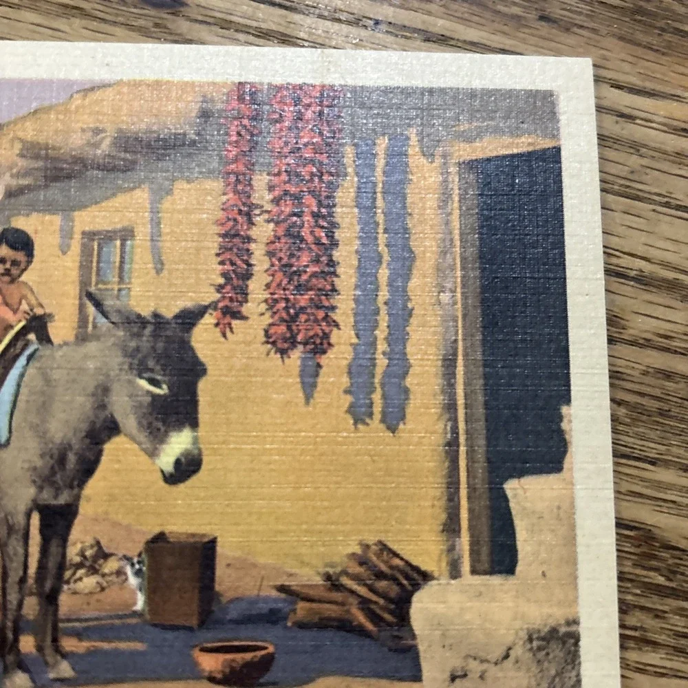 Postcard Fred Harvey - First Riding Lesson in Arizona - Native American